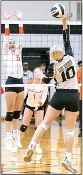 Photo courtesy of The Sports Buzz Lady Jacket senior Eve Dirkse (10) goes up over the net against Aquilla.