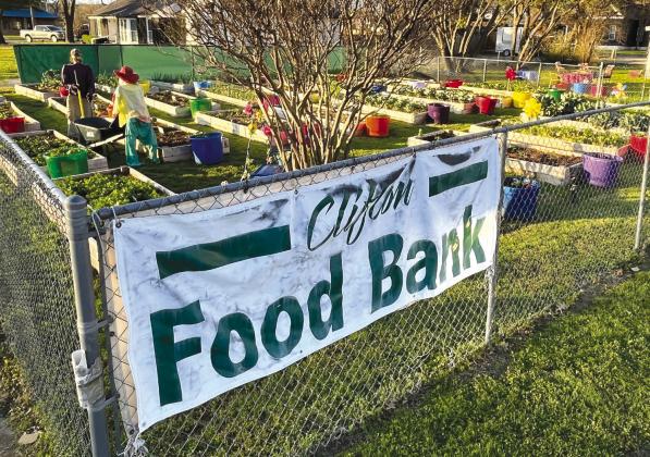 Located at 303 South Avenue G, the Clifton Food Bank’s summer garden started up back in March 2023. Now vegetable plants are grown much taller. Nathan Diebenow / Clifton Record