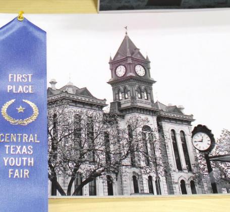 Central Texas Youth Fair Home Economics Show Results