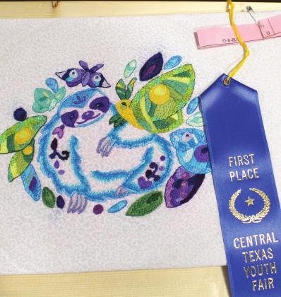 Central Texas Youth Fair Home Economics Show Results